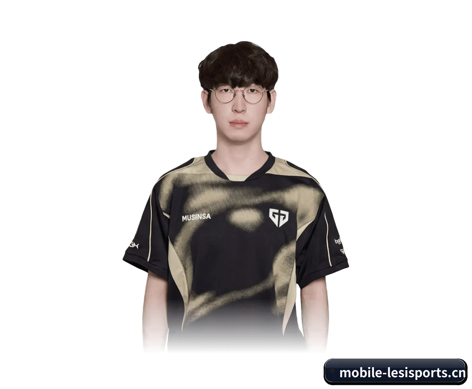 乐思官网的来历 | LESI SPORTS